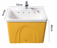 Baignoire Spa Multifonctionnelle pour Chiens, Étanche et Antidérapante, pour Salon d'Animaux, Nettoyage Profond de la Peau et Soins Relaxants pour Chiens