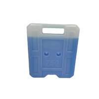 Blocs de gel réfrigérants portables à motif de dessin animé, de qualité alimentaire, durables, pour le déjeuner, les pique-niques, le camping et la congélation des boissons