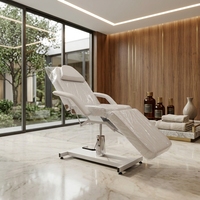 Table de massage professionnelle pour salon, hydraulique, électrique, pliable, avec cadre métallique, pieds réglables, dossier et éponge haute densité pour les soins des cils