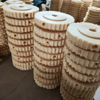 Pignon fendu en nylon plastique série 820/821 Roue à chaîne ISO Standard OEM Support personnalisé