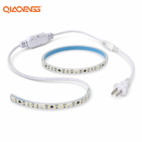 Bande LED PVC sans conducteur 220V 2835 240LEDs/m 16W/m 3500K Blanc Chaud IP65 Certifiée CE RoHS Rouleau de 100m pour Utilisation Extérieure