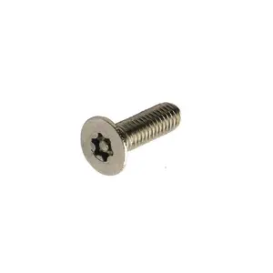 stainless steel flat head trox head security screws