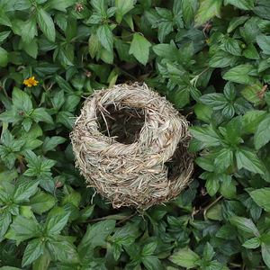 Straw Woven Bird Nest Medium Size Handmade <b>Outdoor</b> Garden Ornament <b>Tree</b> Mount Irregular Shape - Product Image 2