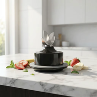 BEISHUN DBD-051 Pièces de rechange en cuivre pour mixeur électrique domestique, base noire, ensemble de lames en acier inoxydable, plastique