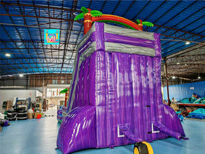 <span class=keywords><strong>Grand</strong></span> toboggan aquatique gonflable commercial à deux voies, bleu, avec <span class=keywords><strong>palmier</strong></span> cocotier, pour la cour, avec piscine pour adultes - Product Image 4