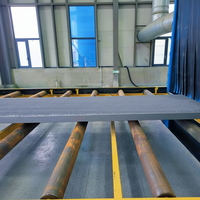 Máquina de Granallado de Rodillos de Paso Continuo con Funcionamiento Totalmente Automático y Capacidad de Pulido