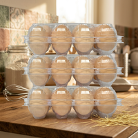 Plateau à œufs rectangulaire en plastique à 10 compartiments, durable, recyclable, écologique, en PP transparent de qualité alimentaire, personnalisable, en carton