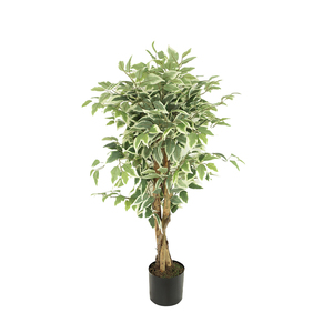 Arbre ficus artificiel en plastique à vente chaude avec des bords blancs, plante de haute qualité, décorations pour la maison - Product Image 2