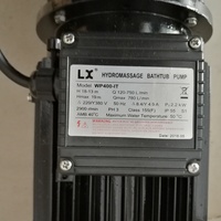 Pompe à eau de piscine WP200 SPA, livraison gratuite