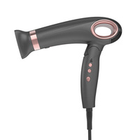Sèche-cheveux ionique haute vitesse 110000 tr/min Sèche-cheveux professionnels Ajuster la température Sèche-cheveux pour hommes et femmes