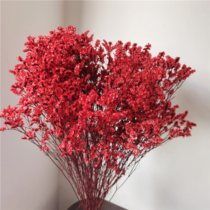 Fleurs séchées de gypsophile cristallin préservées pour l'aménagement intérieur, bouquet de mariage DIY, fleur artificielle de gypsophile - Product Image 4