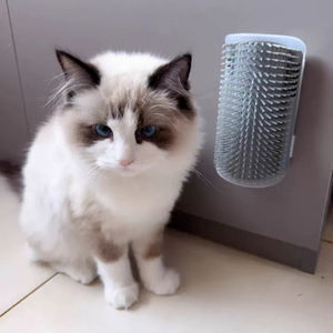 Commercio all'ingrosso prodotti per animali domestici PP materiale montato a parete Pet toelettatura massaggiatore gatto prurito sollievo e rimozione dei peli per gli animali domestici di cani e gatti - Product Image 4