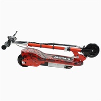 Scooter électrique tout terrain à double moteur de 120W Scooter Scooter de mobilité le plus long voyage