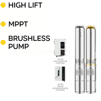 Pompe submersible solaire pour puits profond en acier inoxydable de 4 pouces, pompe de forage sans balais CC MPPT pour l'agriculture, l'irrigation, l'usine, le bateau