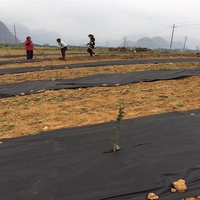 Nouveau type de bâche agricole anti-mauvaises herbes en PP tissé, film noir anti-mauvaises herbes, dégradable, perméable et respirant, en rouleau, durée de vie 3-5 ans