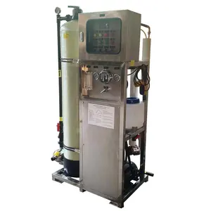 Factory Direct Sales Mini Seawater Desalination 3200ppm Salt Water To Drinking Water Plant System