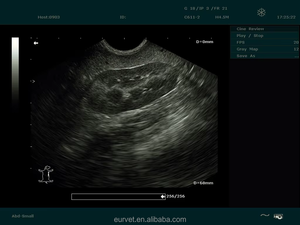 Alat USG Doppler Genggam Harga Pabrik EUR VET, Peralatan Kedokteran Hewan - Product Image 5