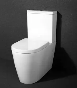 Dual Flush commode two piece close coupled modern bathroom flush ceramic sanitary ware washdown floor mounted toilet bowl