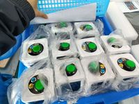 GANXIN Brandneuer Poker-Timer Shot Clock Countdown-Stoppuhr mit 2 Sätzen individuell einstellbarer Timer für Poker/Schach/Mahjong/Partyspiele