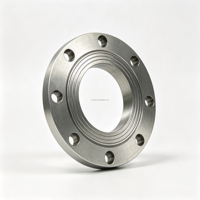 Bride en acier inoxydable 316L forgée, résistante à la corrosion, pour raccord de tuyauterie industrielle
