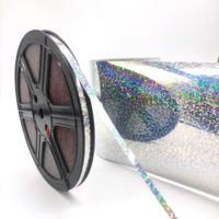 Paillettes Hot Fix pour machine à paillettes pour vêtement T-shirt chaussures logo décorer 2mm 3mm 4mm 5mm 6mm taille couleur H101 holo argent