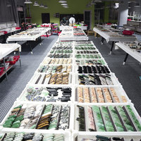Offre Spéciale : Lot de Cristaux Naturels Mixtes – Tour, Baguette, Sphère, Mini Sculptures d'Animaux – Stock Restant – Pierres de Guérison