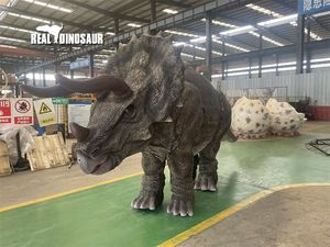 Parc aventure réaliste <span class=keywords><strong>triceratops</strong></span> dinosaure costume pour deux interprète - Product Image 4
