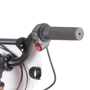 Bicicleta sin Pedal para niños de 250W, 36V, 16 pulgadas, patinete eléctrico para niños, bicicleta de equilibrio para bebés - Product Image 6
