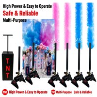 Canon à Confettis Électronique TNT à Télécommande pour Baby Shower, Machine à Poudre Bleue et Rose, Effet Feux d'Artifice, Révélation du Sexe, Accessoire de Fête Fumigène