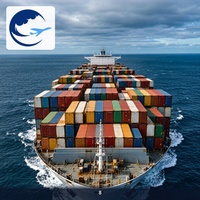 Transport maritime international Shenzhen vers l'Argentine DDP