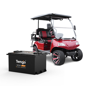 Batterie de voiturette de golf TEMGO Lifepo4 100ah 48v Lithium 72v 36v 105Ah Batterie à boîtier métallique pour véhicule électrique Batterie AVT - Product Image 1