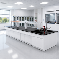 Table de laboratoire moderne en métal durable avec évier et armoire, 4 tiroirs, revêtement en poudre époxy, poste de travail en acier inoxydable pour laboratoire de chimie