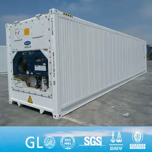 Recipiente reefer da geladeira da máquina de resfriamento do transportador 40ft para venda