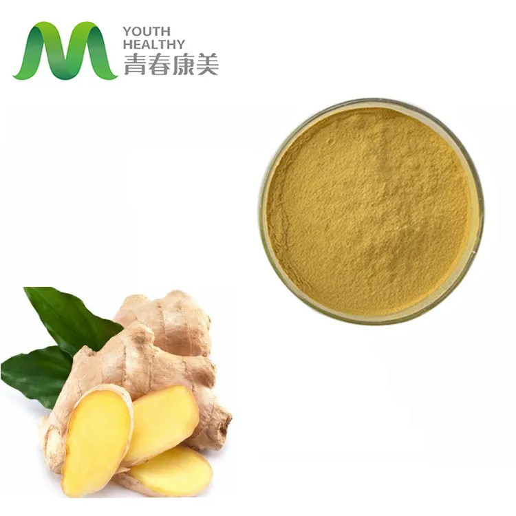 Factory Supply 100% Natural organic ginger extract water soluble