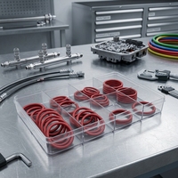 EASILIFE Fabrik OEM Kundenspezifische Farbe Rutschfester Verschleißfester HNBR EPDM NBR FKM Gummi PTFE Beschichteter O-Ring für Hydraulik und Pneumatik