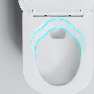 Set di servizi igienici economici lavano la ciotola del WC in ceramica da 300mm un pezzo - Product Image 5