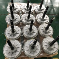 Générateur PMG haute performance 0,3kw générateur d'éolienne sans noyau