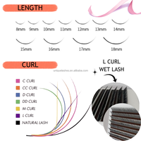 Nouvelle Tendance Cils Effet Mouillé Vente en Gros Plateaux d'Extensions de Cils Effet Mouillé 0.07mm Cils d'Ange Extensions Classiques Courbures J B C CC D DD L M