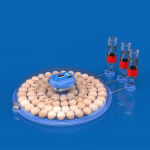 Incubateur de <span class=keywords><strong>80</strong></span> Œufs Entièrement Automatique à Prix de Gros pour l'Éclosion - Product Image 1