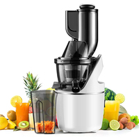 Hoogrenderende Elektrische Kauwmachine Slow Juicer Hot Sale Multifunctionele Ananas Appelwortelsapmaker