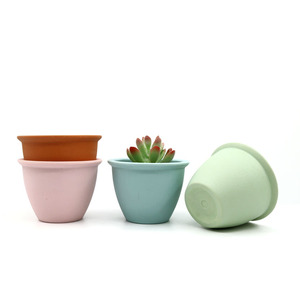 Yicai colore brillante Bonsai vaso per piante succulente vaso per fiori contenitore per fiori da giardino vaso per fiori - Product Image 1