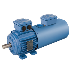 Motor de Inducción Trifásico de Bajo Voltaje WEG W21 con Certificación ISO9001 y CCC, a Prueba de Explosiones - Product Image 1