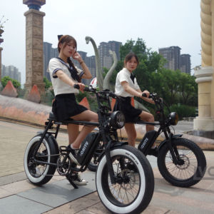 Lvco-sillín de asiento clon de horquilla de suspensión, piezas <span class=keywords><strong>Rx</strong></span> de bicicleta eléctrica de 20 pulgadas, Z1 73, almacén de la UE, novedad - Product Image 5