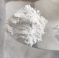 Kaolin de qualité cosmétique 325 Mesh, prix à la tonne, poudre d'argile blanche pour ciment blanc, savon, détergent à lessive