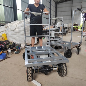 Carro de Plataforma Eléctrico con Frenos de Disco en las Cuatro Ruedas, Carro de Transporte de Carga, Batería Personalizable, Diseño Metálico OEM - Product Image 2