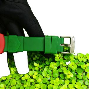 Relojes de Lujo para Hombre, Precio al por Mayor, Deportivos, Movimiento 2813, Sumergibles, 38 mm, Titanio, Zafiro, Luminosos, Resistentes al Agua - Product Image 5