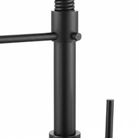 Robinet de cuisine monocommande en acier inoxydable, à col flexible, à monter sur plan, avec douchette extractible