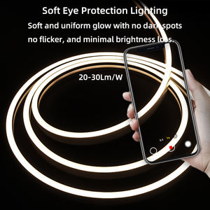 Produttore 4*8 6*12 6*13 8 8*15mm Mini striscia al <span class=keywords><strong>Neon</strong></span> flessibile per interni 24V 12V <span class=keywords><strong>120</strong></span> led/m P67 impermeabile <span class=keywords><strong>tubo</strong></span> al <span class=keywords><strong>Neon</strong></span> in Silicone - Product Image 2