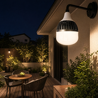 Vente en gros de composants LED T Bulb SKD, matières premières PC PP, boîtier en aluminium E27 E40 50W 80W 100W 150W