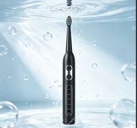 Brosse à dents électrique sonique Eisler T8 OEM ODM pour adultes, 5 modes, IPX7, rechargeable, blanchiment des dents, logo personnalisé, vente en gros